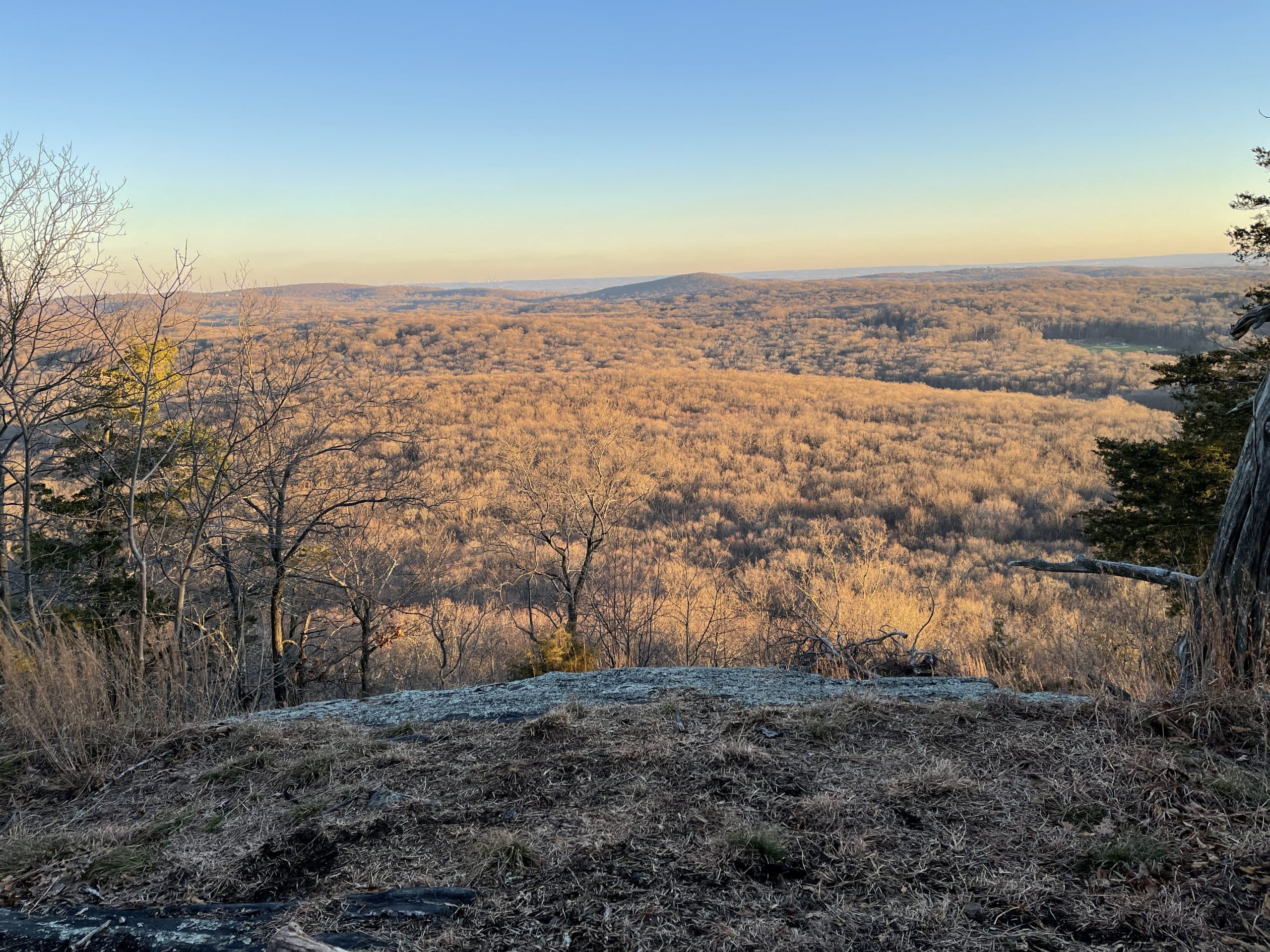 View from cliff looking out at sunset over forest in fall